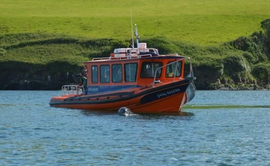 The Great Blasket Island Experience