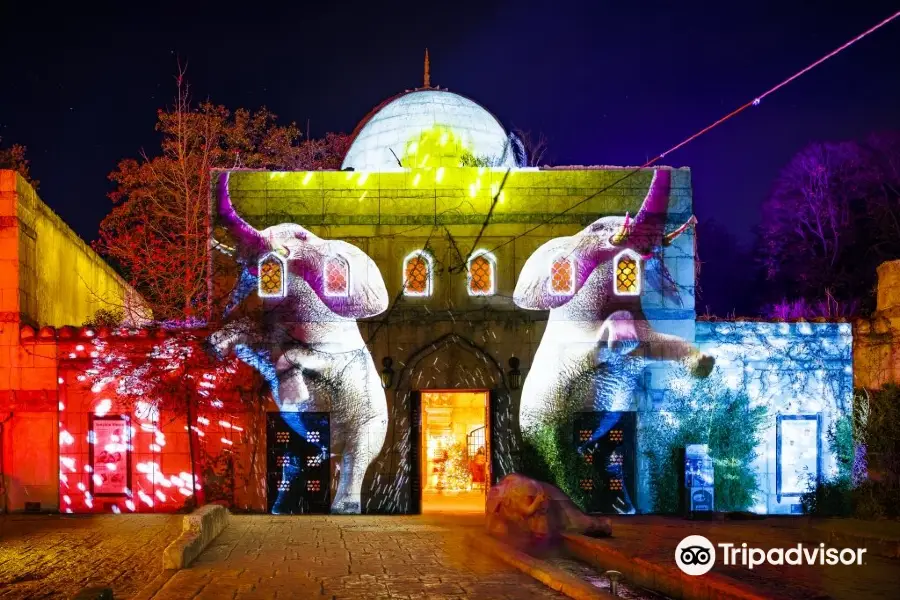 Christmas Garden Hannover