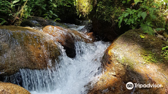 Chorro de Las Campanas