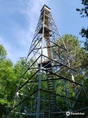 Mountain Fire Tower