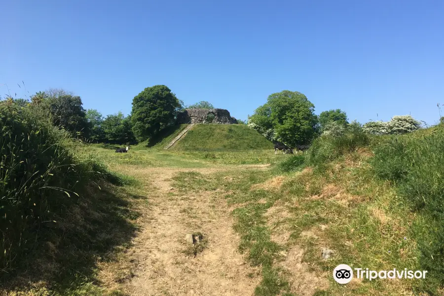 Wiston Castle