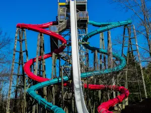 Wet 'n Wild Emerald Pointe Water Park