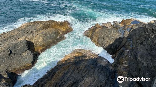 Coffs Harbour Muttonbird Island