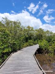 Maroochy Wetland Sanctuary