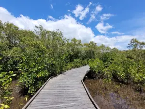 Maroochy Wetland Sanctuary