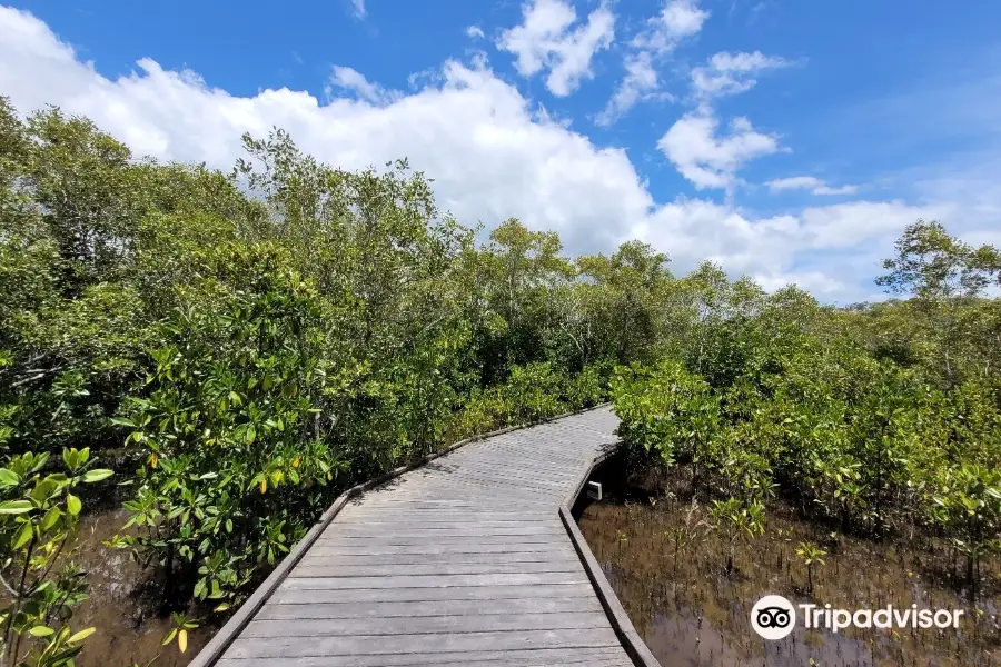 Maroochy Wetland Sanctuary