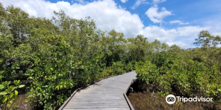 Maroochy Wetlands Sanctuary Reserve