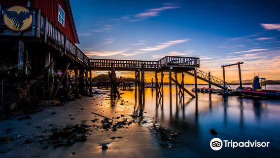 Remote Passages Marine Excursions