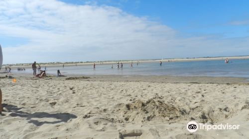 Plage du Galon d'Or