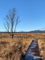 Flanders Moss National Nature Reserve