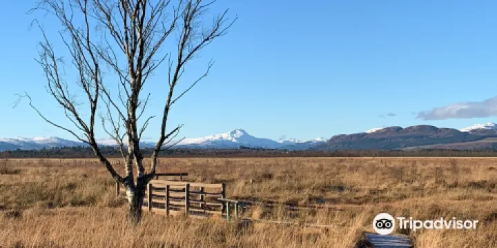 Flanders Moss National Nature Reserve