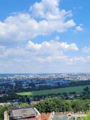 Kościuszko Mound