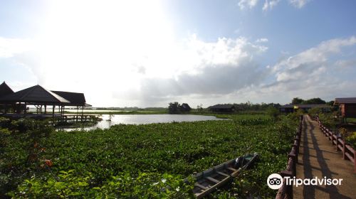 Thale Noi Waterbird Park