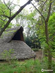 Tokyo Metropolitan Archaeological Center