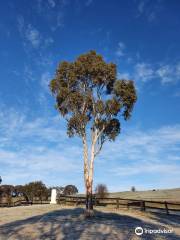 Banjo Paterson Memorial Park