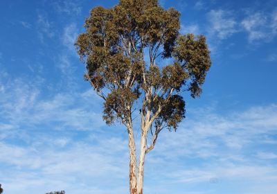 Banjo Paterson Memorial Park