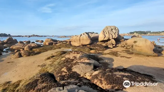 2_Plage de Tourony