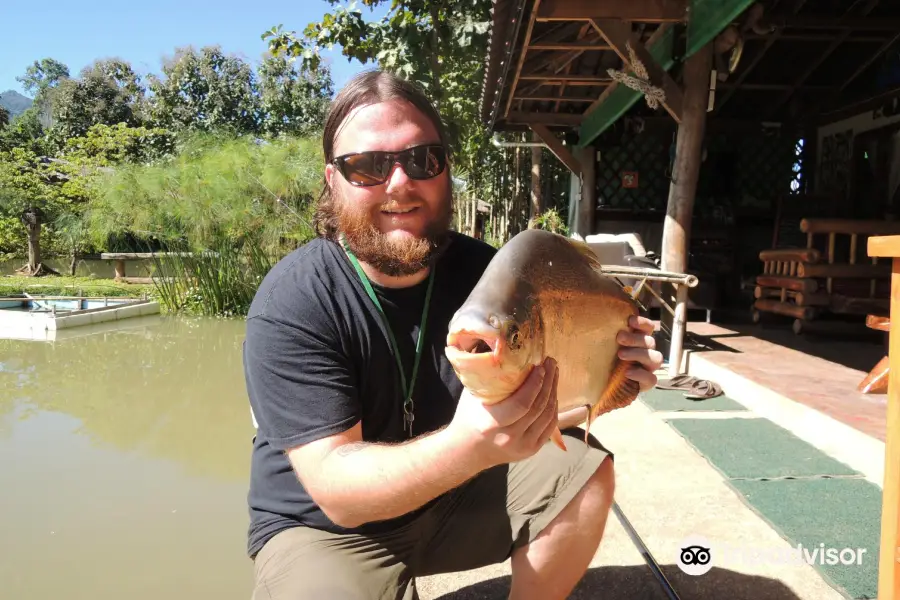 Pai Piranha Fishing Park