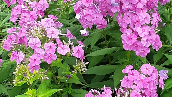 The Crossings Park of Colonie