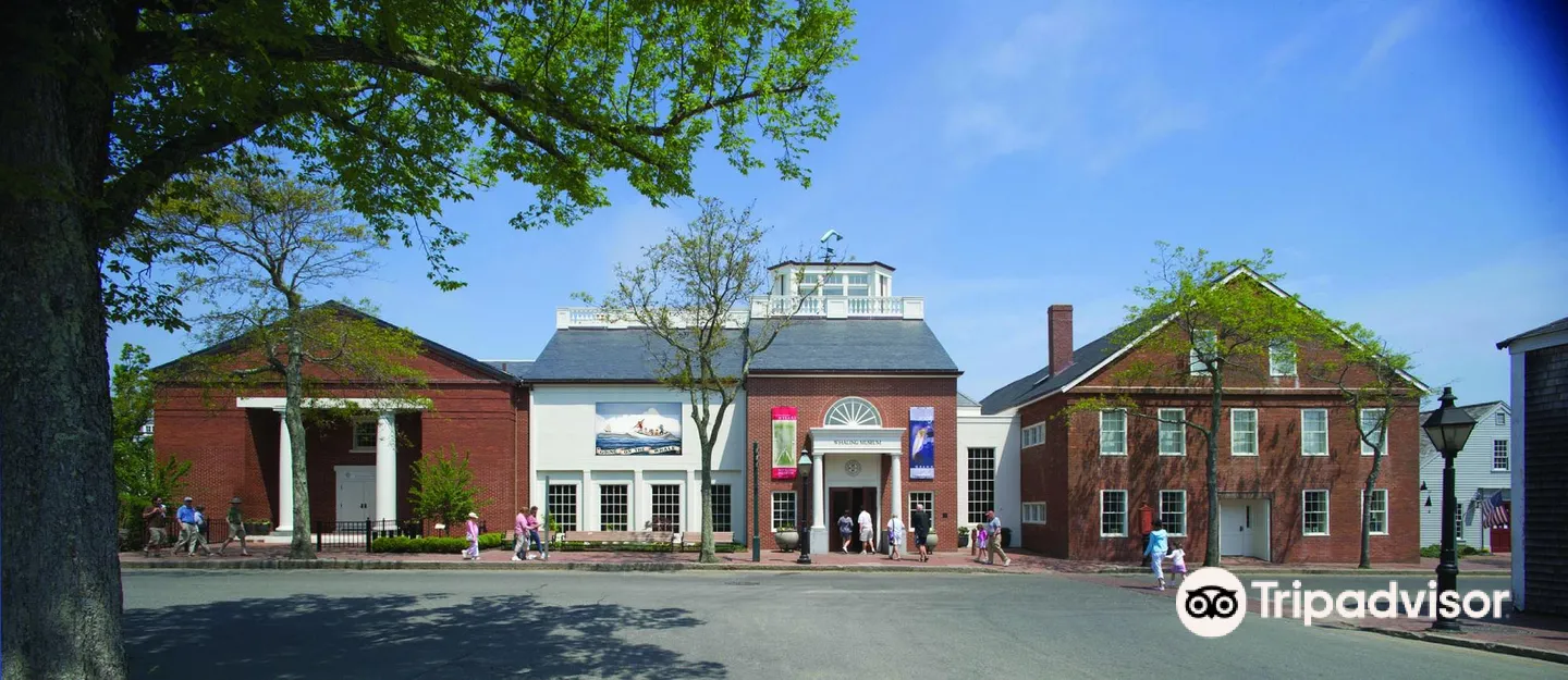 2_Музей китобойного промысла