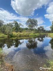 Townsville Town Common Conservation Park