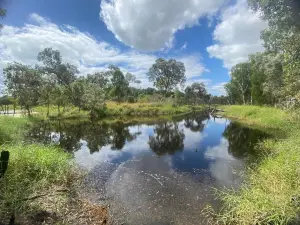 Townsville Town Common Conservation Park