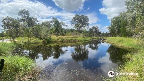 Townsville Town Common Conservation Park