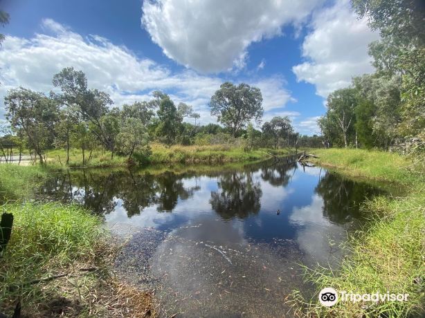 Townsville Town Common Conservation Park
