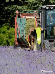 Aroma'Plantes Distillerie