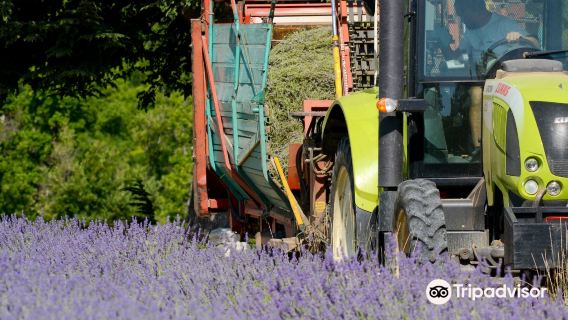 Aroma'Plantes Distillerie