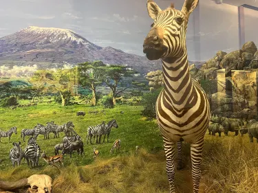 Slovak Technical Museum