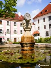 Schloss Wittingau (Třeboň)