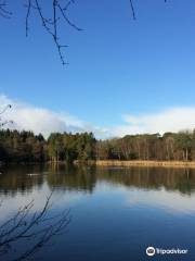 Stover Country Park and Nature Reserve