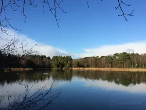 Stover Country Park and Nature Reserve