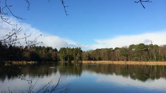 Stover Country Park and Nature Reserve