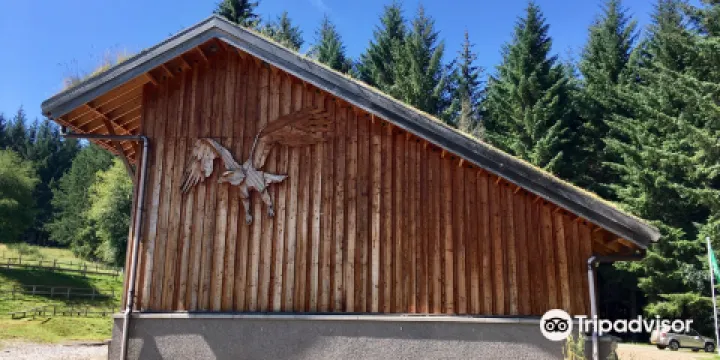 Aigas野生動物園