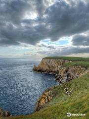 RSPB Mull of Galloway