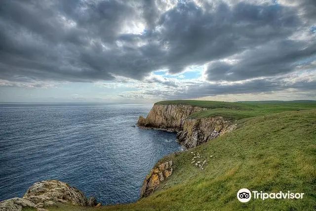 RSPB Mull of Galloway