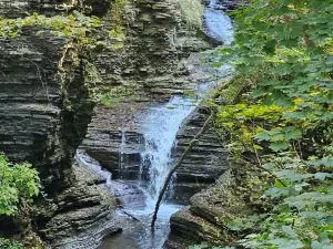 Deckertown Falls