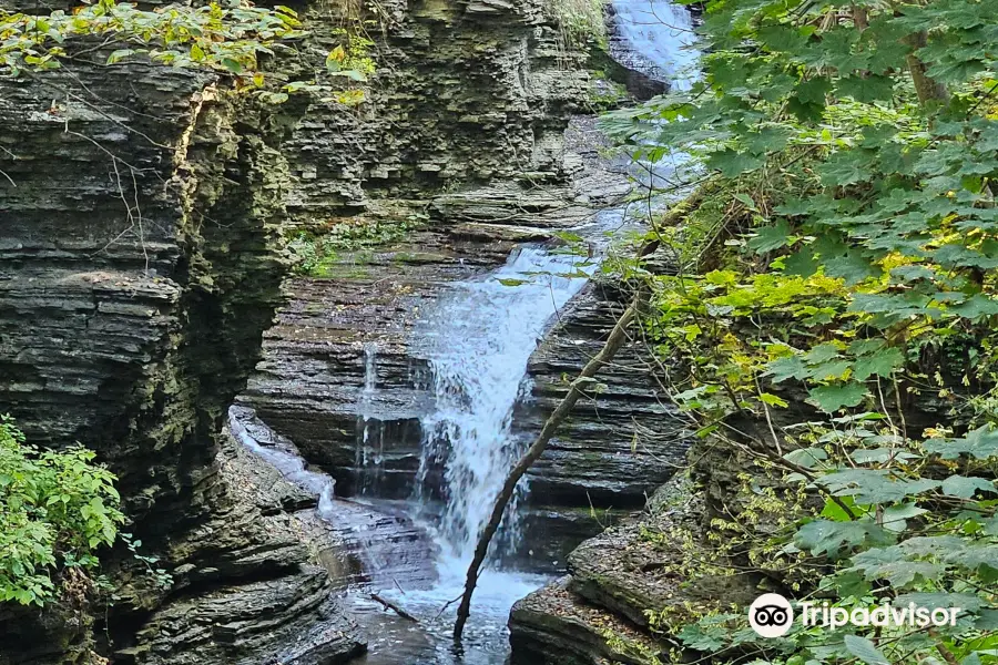 Deckertown Falls