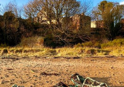 Ravenscraig Castle