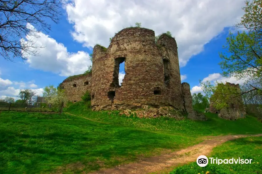 Buchach Castle