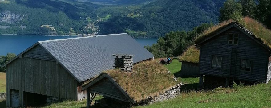 Ytste Skotet