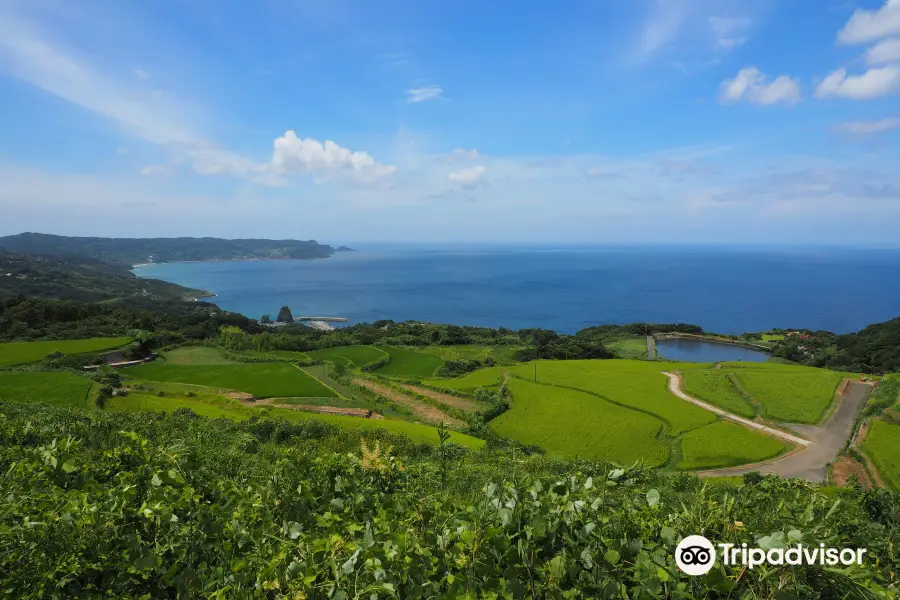 東後畑棚田