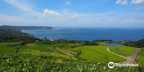 Higashi Ushirobata Tanada