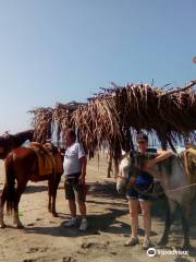 Rancho Caballo De Mar