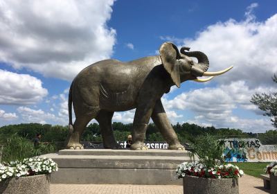 Jumbo The Elephant Monument