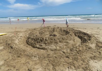 Waratah Beach Surf Life Saving Club