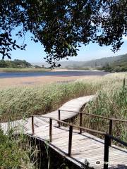 Wilderness Lagoon