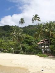 Beach Praia Grande das Palmas